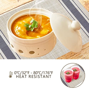 DACHUI Elegant Woven Placemats Set of 6 for Stylish Dining