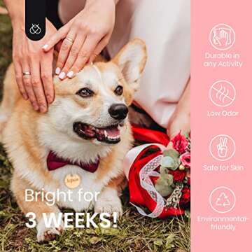 Beetles Gilitter Jelly Gel Nail Polish, 6pcs Rainbow Crystal Glitter Blue Green Purple Color Gel Polish See Through Nail Soak Off Nail Polish Uv Gel Manicure Kit Nail Art Design DIY Home