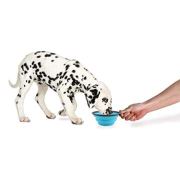 Dexas Popware for Pets Collapsible Travel Cup, Small, Gray/Blue