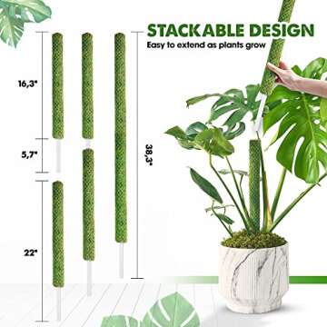 DUSPRO Stackable Moss Pole for Indoor Plants Climbing