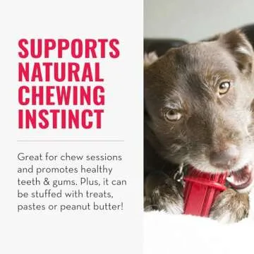 KONG Dental Stick for Dog Dental Care - Stuffable Chew Toy - Provides Chewing Outlet & Satisfies Ins...