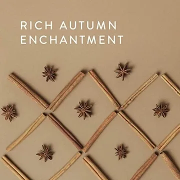 Thymes Simmered Cider Copper Candle - 3 Wick Luxury