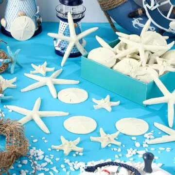Queekay Starfish and Sand Dollars 15 Piece Set for Decor
