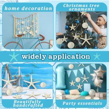 Queekay Starfish and Sand Dollars 15 Piece Set for Decor