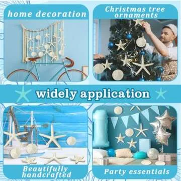 Queekay Starfish and Sand Dollars 15 Piece Set for Decor