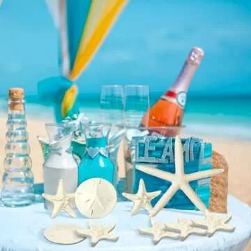 Queekay Starfish and Sand Dollars 15 Piece Set for Decor