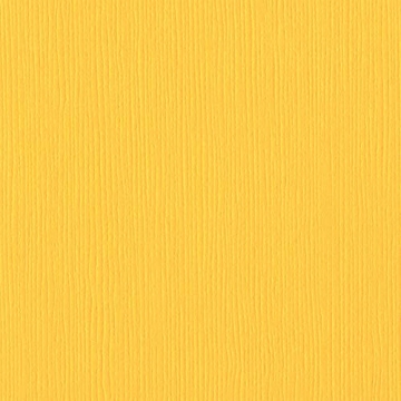 Bazzill MEXICAN POPPY 12x12 Textured Cardstock | Premium Scrapbook Paper | Vibrant Color Creative Su...