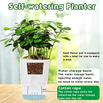 Haawooky Self-Watering Planters for Thriving Plants