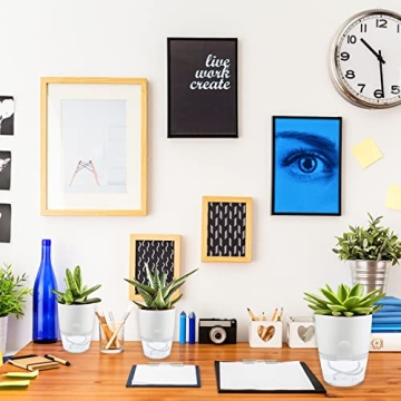 Haawooky Self-Watering Planters for Thriving Plants