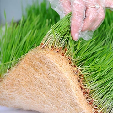 Sustainable Jute Grow Mats for Indoor Microgreens