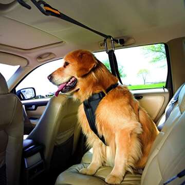 Kurgo Auto Zipline for Dogs, Adjustable Dog Safety Belt Leash, Pet Seat Belt Tether, Reduce Distract...
