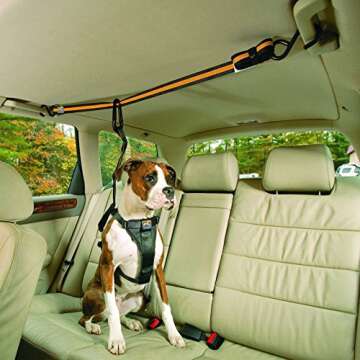 Kurgo Auto Zipline for Dogs, Adjustable Dog Safety Belt Leash, Pet Seat Belt Tether, Reduce Distracted Driving, Includes Dog Leash & Carabiner Clips, 6 feet