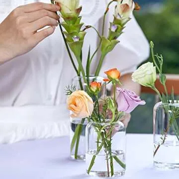 ZENS Bud Vases Set of 6, Modern Small Glass Vase for Flower Clear Bud Vases in Bulk for Wedding Cent...