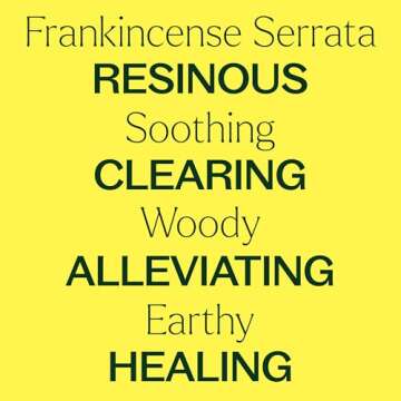 Plant Therapy Frankincense Serrata Essential Oil 100% Pure