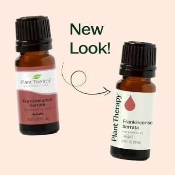 Plant Therapy Frankincense Serrata Essential Oil 100% Pure