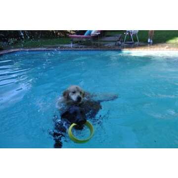 HurriK9 Flying Ring Launcher Dog Exerciser Starter Pack | Quickly Exercises Your Dog | Includes Launcher Starter Pack & 6 EVA Foam Rings