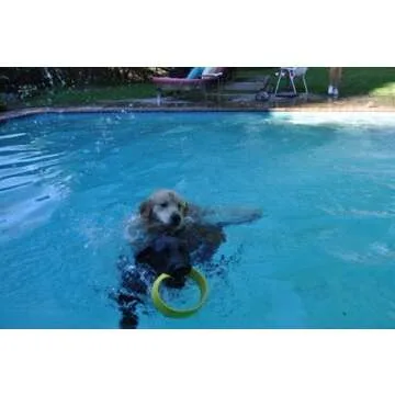 HurriK9 Flying Ring Launcher Dog Exerciser Starter Pack | Quickly Exercises Your Dog | Includes Launcher Starter Pack & 6 EVA Foam Rings