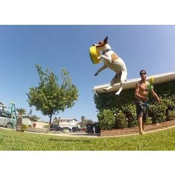 HurriK9 Flying Ring Launcher Dog Exerciser Starter Pack | Quickly Exercises Your Dog | Includes Launcher Starter Pack & 6 EVA Foam Rings