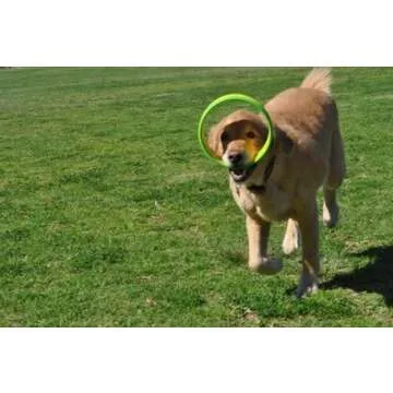 HurriK9 Flying Ring Launcher Dog Exerciser Starter Pack | Quickly Exercises Your Dog | Includes Launcher Starter Pack & 6 EVA Foam Rings