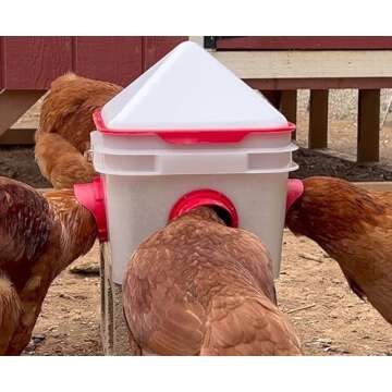 RentACoop Chick2Chicken 10lb BPA-Free 4-Port Feeder - Includes Anti-Roost Cone, Slider Port Cover, and Lid - Suitable for up to 20 Chicks & 12 Adult Chickens