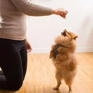 Natural Freeze Dried Chicken Treats for Dogs & Cats