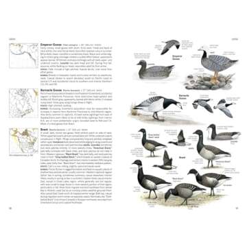 National Geographic Field Guide to the Birds of North America, 7th Edition