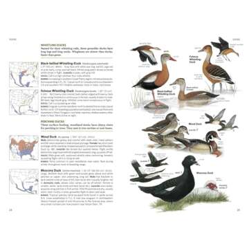 National Geographic Field Guide to the Birds of North America, 7th Edition