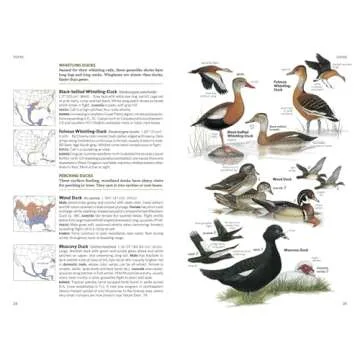 National Geographic Field Guide to the Birds of North America, 7th Edition