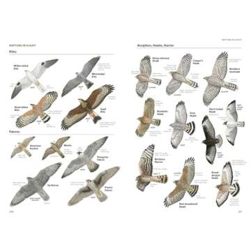 National Geographic Field Guide to the Birds of North America, 7th Edition