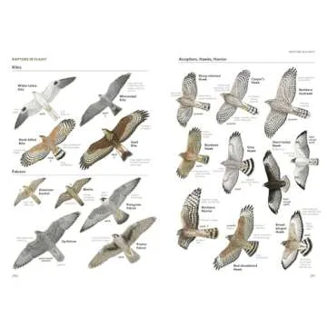 National Geographic Field Guide to the Birds of North America, 7th Edition