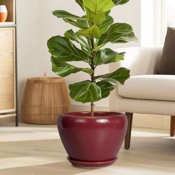 Ceramicfor 10 Inch Plant Pot - Ceramic Planter Pot with Drainage Hole and Saucer Large Planter for I...