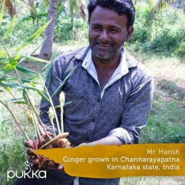 Pukka Herbs Organic Tea Bags, Lemon, Ginger & Manuka Honey Herbal Tea, Perfect for Everyday Wellness, 20 Count (Pack of 3) 60 Tea Bags