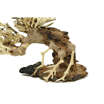 Bonsai Driftwood Aquarium Tree - Handcrafted Decor 4x5 inches