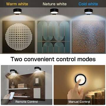 2-Pack LED Picture Lighting for Art with Remotes and Timers