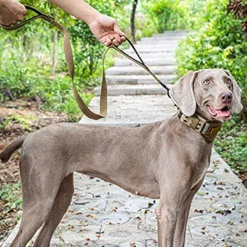 OneTigris Tactical Dog Leash for Total Control and Safety