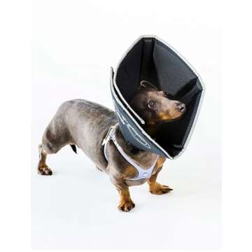 Comfortable Recovery Solution Comfy Cone for Pets
