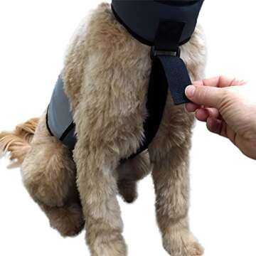 CoolerDog Dog Cooling Vest and Cooling Collar - Ice Vest for Dogs Large (27" to 34" Girth)