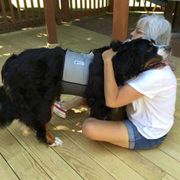 CoolerDog Dog Cooling Vest and Cooling Collar - Ice Vest for Dogs Large (27" to 34" Girth)