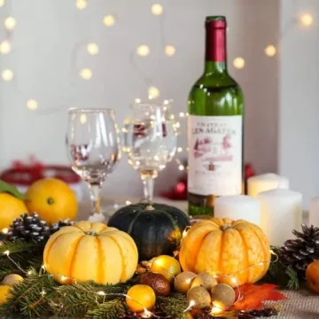 Sanniu Mini Battery Operated Fairy Lights for Any Occasion