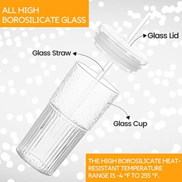 QWEZXO 20OZ Glass Tumbler with Lid and Straw BPA-Free