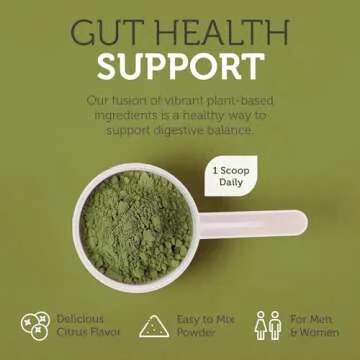 Zahler Core Greens Powder - Organic Greens Superfood Powder - Phytonutrient Rich Super Greens Powder with Spirulina, Chlorella & More - Kosher Non GMO Green Juice/Green Smoothie Powder, Citrus Flavor