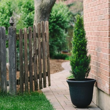 Two 4 Feet Artificial Cedar Trees for Beautiful Décor