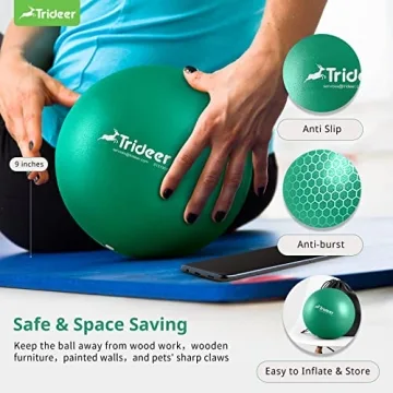Trideer 9 Inch Pilates Ball for Exercise and Therapy