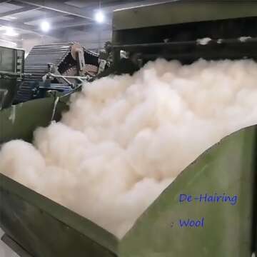 Wool Stuffing, Dehaired Wool Filler, Organic Wool Filling, Animal Fiber Used for Batting, Spinning, Felting, Dryer Balls and Wool Roving, 1 Pound/Bag