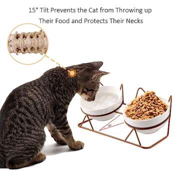 Trosetry Cat Bowls, Double Ceramic Pet Bowls with 15°Tilted Raised Stand for Food and Water, Anti V...