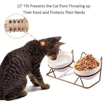Trosetry Cat Bowls, Double Ceramic Pet Bowls with 15°Tilted Raised Stand for Food and Water, Anti V...