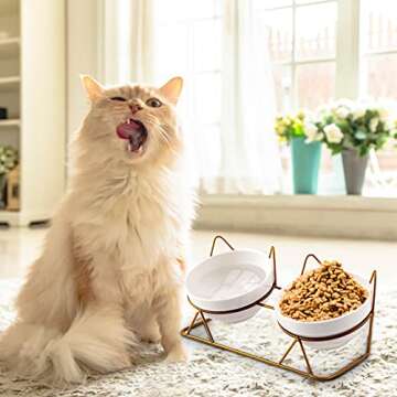 Trosetry Cat Bowls, Double Ceramic Pet Bowls with 15°Tilted Raised Stand for Food and Water, Anti Vomiting Cat Dish Feeder, Perfect for Puppy Cats and Small Dogs(Double Bowls1)