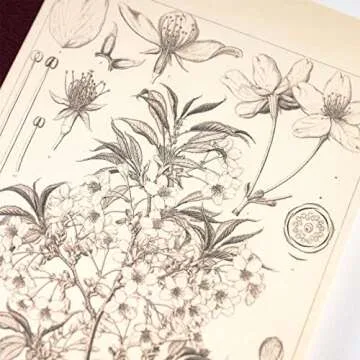 Hobonichi Graph Notebook A6 - Yamazakura Quality Writing