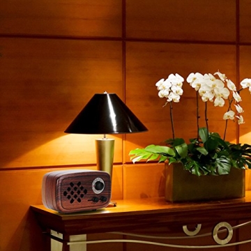 Rerii Handmade Walnut Bluetooth Speaker for All Occasions