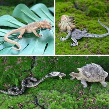 Toymany Reptile Animal Figurine Toys Set, 12 PCS Desert Amphibians Animal Figures with Komodo Dragon Lizard Snake Chameleon Rainforest Cold Blooded Animals Figures Party Favor for Kids